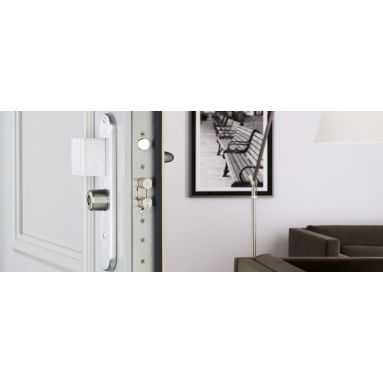 PORTE BLINDÉE FOXEO HIS